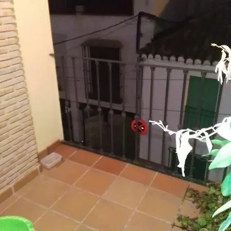 Camino De La Sierra Mascotas Si * La Zubia (Granada)